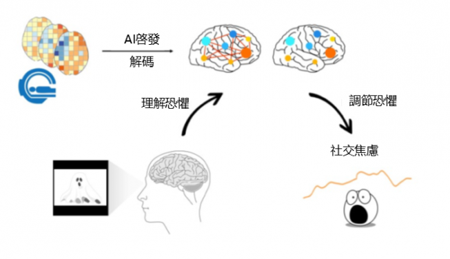 Researchers at HKU have unveiled a transformative approach to understanding and treating social anxiety, challenging decades of laboratory-based assumptions and opening doors to targeted therapies.